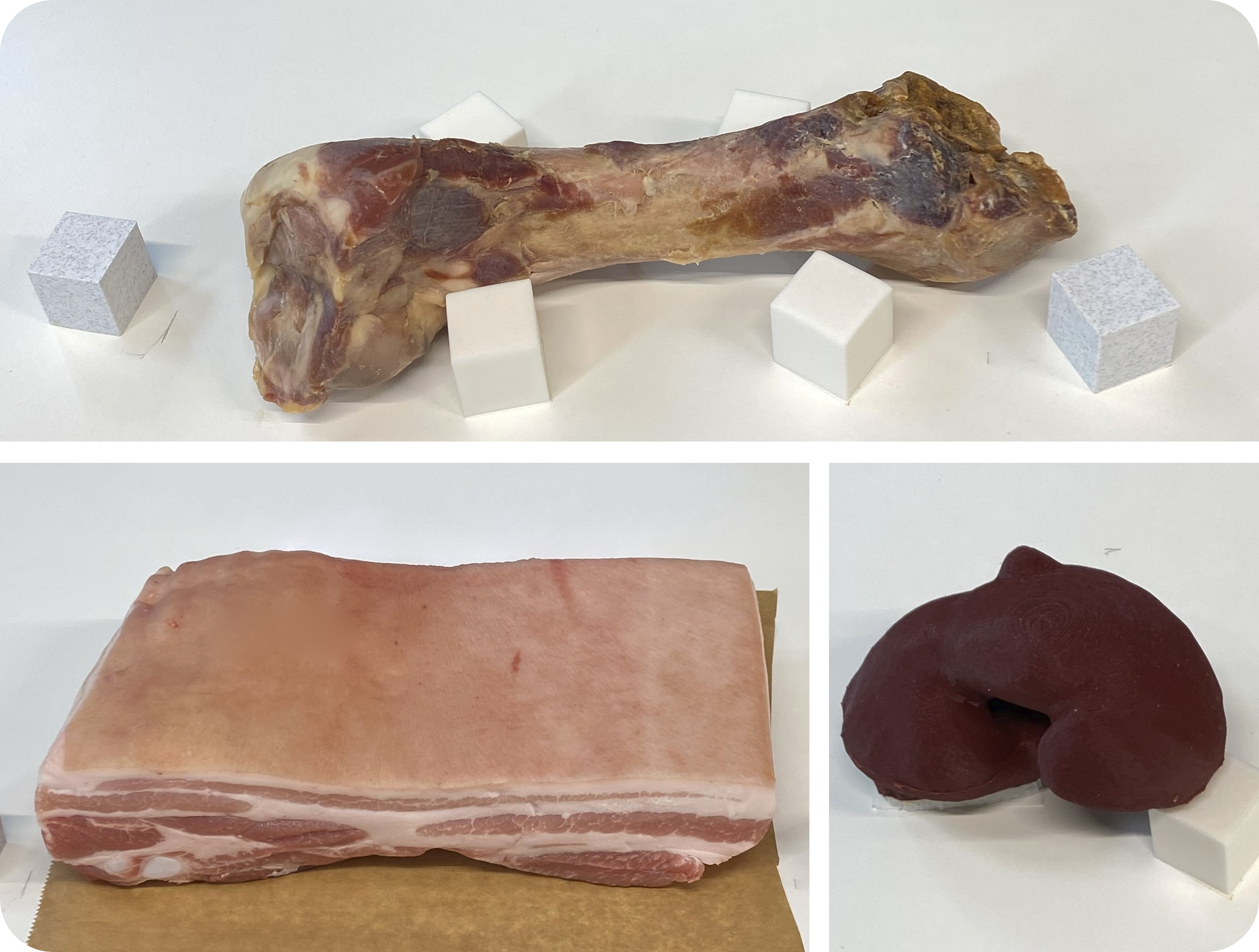 Porcine bone, porcine belly, and silicone kidney phantom used in the evaluation.