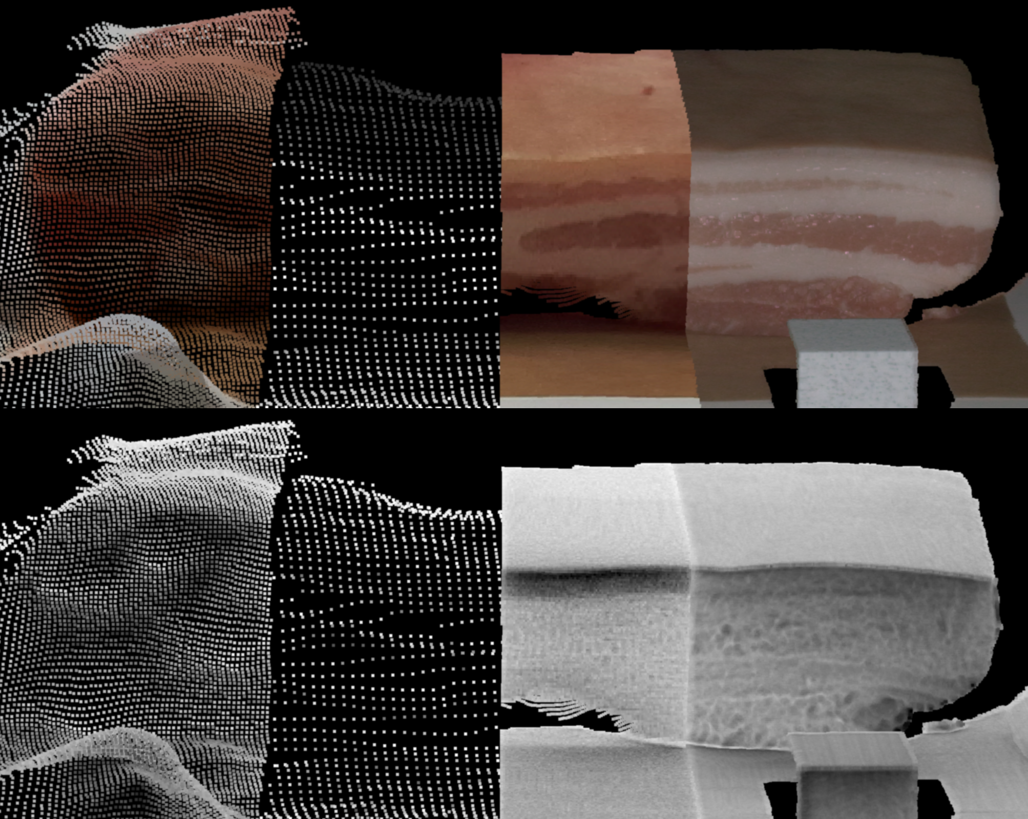 Colored and structure-only point clouds of a porcine belly captured by the D405, Flexx, ZED, and Zivid depth sensors.